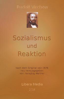 Hansjörg Walther - Sozialismus und Reaktion: Kommentierte Ausgabe, Häftad