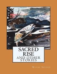 Wayne Snyder - Sacred Rise: And Other Stories, Häftad. Tillgänglighet: Lägg i varukorg