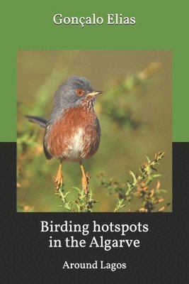 Gonçalo Elias - Birding hotspots in the Algarve: Around Lagos, Häftad. Tillgänglighet: Lägg i varukorg