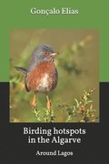Birding hotspots in the Algarve: Around Lagos