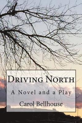 Carol Bellhouse - Driving North, Häftad. Tillgänglighet: Lägg i varukorg
