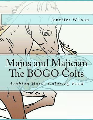 Jennifer Wilson - Majus and Majician Twin Colts Coloring Book: Horse Coloring Fun, Häftad. Tillgänglighet: Lägg i varukorg