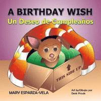 Mary Esparza- Vela - A Birthday Wish/Un Deseo de Cumpleanos, Häftad. Tillgänglighet: Lägg i varukorg