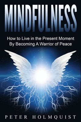 Peter Holmquist - Mindfulness: How to Live in the Present Moment by Becoming A Warrior of Peace, Häftad. Tillgänglighet: Lägg i varukorg