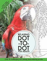 Clarity Media - Relaxing Dot-To-Dot For Adults: Over 30 challenging and calming stress-relieving puzzles, Häftad