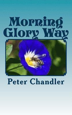 Peter Chandler - Morning Glory Way, Häftad. Tillgänglighet: Lägg i varukorg