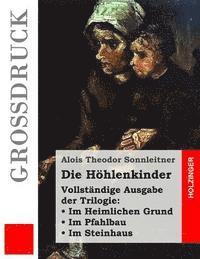 Alois Theodor Sonnleitner - Die Höhlenkinder (Großdruck): Vollständige Ausgabe der Trilogie: Im Heimlichen Grund. Im Pfahlbau. Im Steinhaus, Häftad. Tillgänglighet: Lägg i varukorg