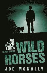 Joe McNally - Wild Horses, Häftad. Tillgänglighet: Lägg i varukorg