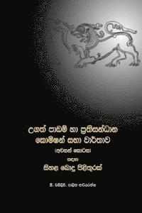 MR Palitha Ariyarathna - A Sinhala Buddhist Reply to the Lessons Learnt and Reconciliation Commission (Full Version Sinhalese Edition), Häftad. Tillgänglighet: Lägg i varukorg