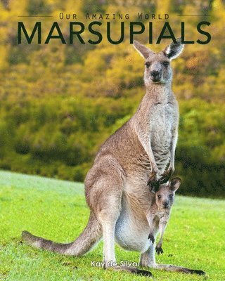 Kay De Silva - Marsupials: Amazing Pictures & Fun Facts of Animals in Nature, Häftad. Tillgänglighet: Lägg i varukorg