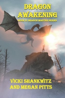 Megan Pitts, Vicki Shankwitz - Dragon Awakening, Häftad