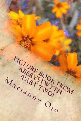 Marianne Ojo - Picture Book From Aberystwyth (Part Two): Memories of a Wonderful Alma Mater, Häftad