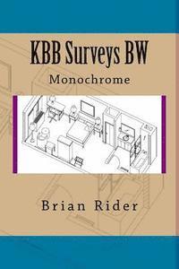 Brian Rider - KBB Surveys BW: Monochrome, Häftad. Tillgänglighet: Lägg i varukorg