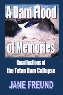 Jane Freund - Dam Flood of Memories - Recollections of the Teton Dam Collapse, Häftad. Tillgänglighet: Lägg i varukorg