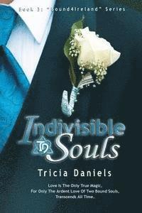 Karen Hrdlicka - Indivisible Souls, Häftad. Tillgänglighet: Lägg i varukorg