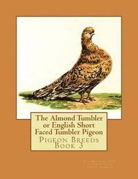 John Matthews Eaton - The Almond Tumbler or English Short Faced Tumbler Pigeon: Pigeon Breeds Book 3, Häftad. Tillgänglighet: Lägg i varukorg