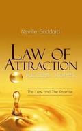 Law of Attraction Success Stories: The Law and The Promise