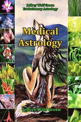 Jeffrey Wolf Green, Deva Green - Medical Astrology, Häftad. Tillgänglighet: Lägg i varukorg