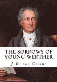 Nathen Haskell Dole - The Sorrows of Young Werther, Häftad. Tillgänglighet: Lägg i varukorg