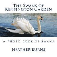 Heather Burns - The Swans of Kensington Garden: A Photo Book of Swans, Häftad. Tillgänglighet: Lägg i varukorg