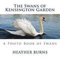 The Swans of Kensington Garden: A Photo Book of Swans