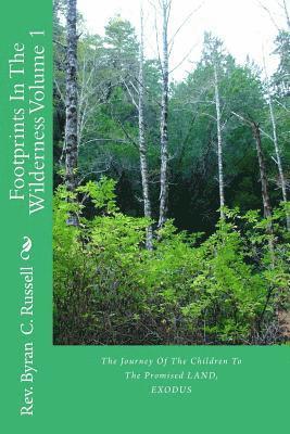 Byran C. Russell - Footprints in the Wilderness Volume 1: The Journey of the Children to the Promised Land, Häftad. Tillgänglighet: Lägg i varukorg
