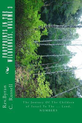 Byran C. Russell - Footprints in the Wilderness: The Journey of the Children of Israel to the Promised Land, Häftad. Tillgänglighet: Lägg i varukorg