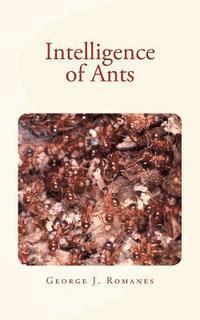 George J. Romanes - Intelligence of Ants, Häftad. Tillgänglighet: Lägg i varukorg