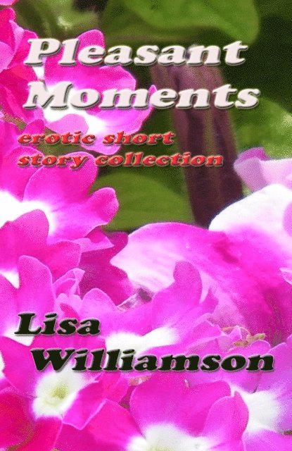 Lisa Williamson - Pleasant Moments, E-bok