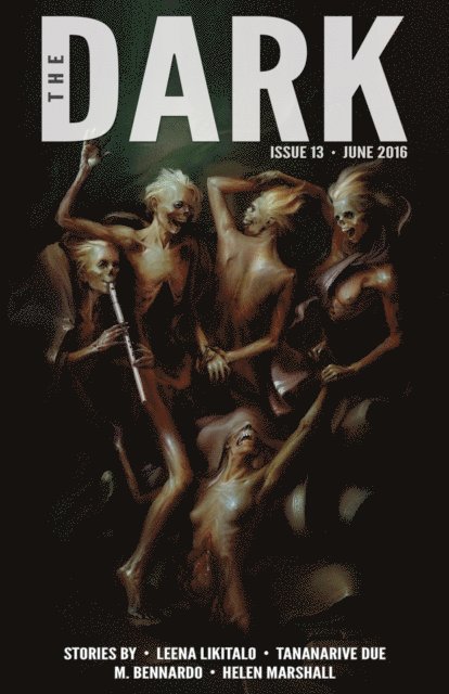 Sean Wallace - Dark Issue 13, E-bok