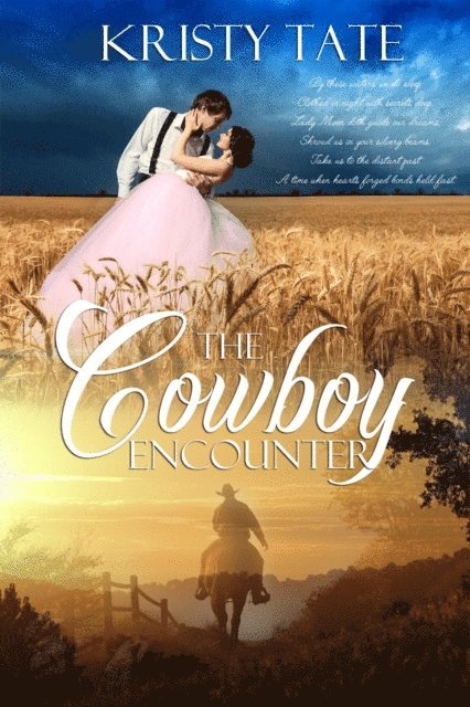 Kristy Tate - Cowboy Encounter, E-bok