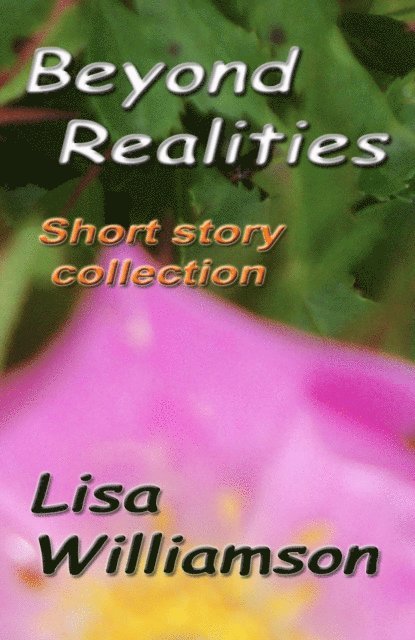 Lisa Williamson - Beyond Realities, E-bok