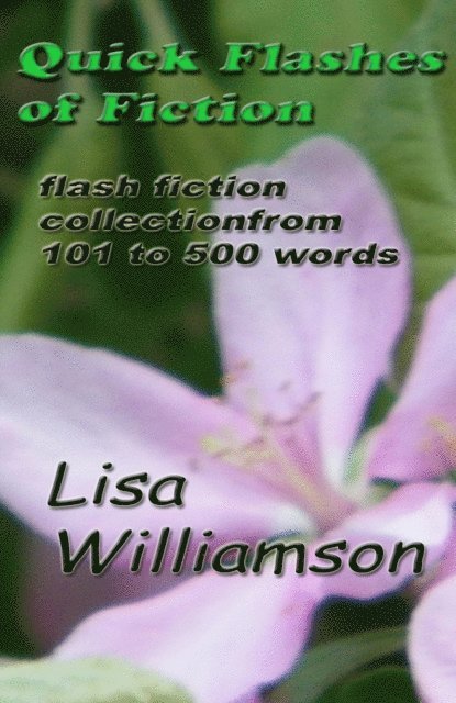 Lisa Williamson - Quick Flashes of Fiction, E-bok