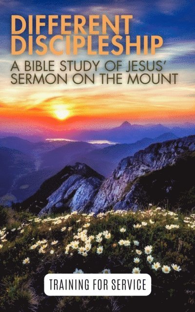 Alan Toms, Hayes Press - Different Discipleship: Jesus' Sermon on the Mount, E-bok