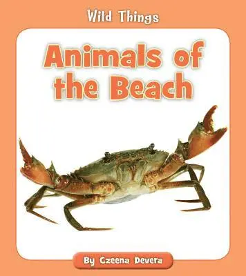 Czeena Devera - Animals of the Beach, Häftad. Tillgänglighet: Lägg i varukorg