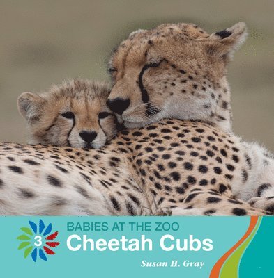 Susan H. Gray - Cheetah Cubs, Häftad