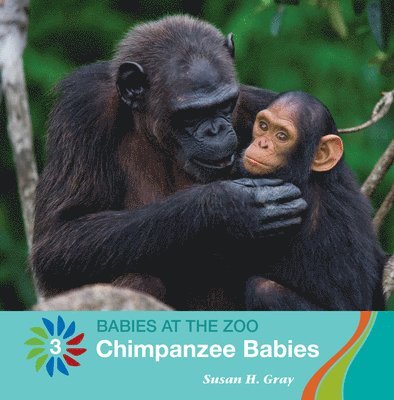 Susan H. Gray - Chimpanzee Babies, Häftad. Tillgänglighet: Lägg i varukorg
