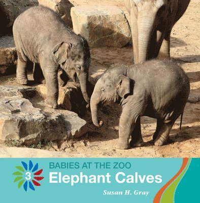 Susan H. Gray - Elephant Calves, Häftad. Tillgänglighet: Lägg i varukorg