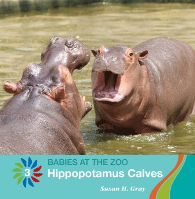 Susan H. Gray - Hippopotamus Calves, Häftad