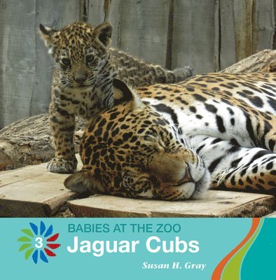 Susan H. Gray - Jaguar Cubs, Häftad. Tillgänglighet: Lägg i varukorg