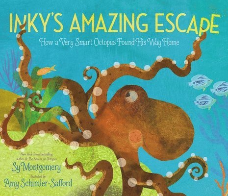 Sy Montgomery - Inky's Amazing Escape: How a Very Smart Octopus Found His Way Home, Inbunden