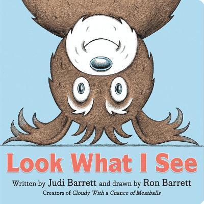 Judi Barrett - Look What I See, Kartonnage