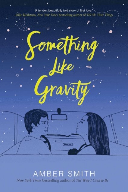 Amber Smith - Something Like Gravity, E-bok