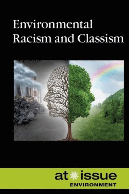Anne C. Cunningham - Environmental Racism and Classism, E-bok