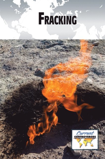 Anne C. Cunningham - Fracking, E-bok