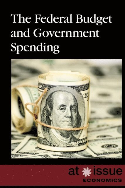 Lisa Idzikowski - Federal Budget and Government Spending, E-bok