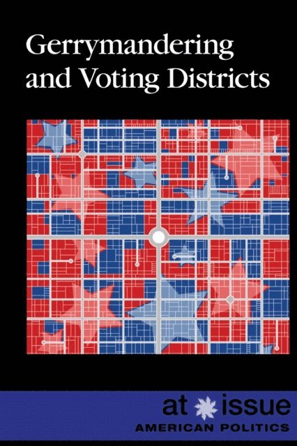 Rita Santos - Gerrymandering and Voting Districts, E-bok. Tillgänglighet: Lägg i varukorg