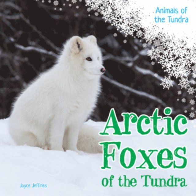 Arctic Foxes of the Tundra