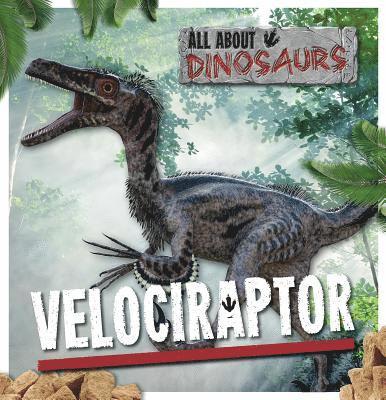 Mike Clark - Velociraptor, Inbunden