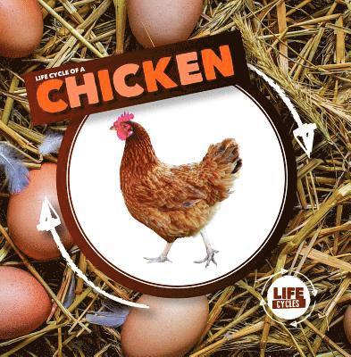 Kirsty Holmes - Life Cycle of a Chicken, Häftad